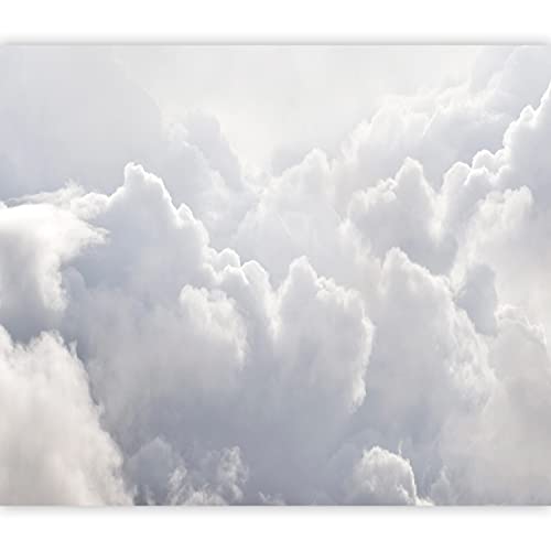 murando Fototapete Himmel 100x70 cm Vlies Tapeten Wandtapete XXL Moderne Wanddeko Design Wand Dekoration Wohnzimmer Schlafzimmer Büro Flur Wolken Natur blau weiß n-C-0353-a-a von murando