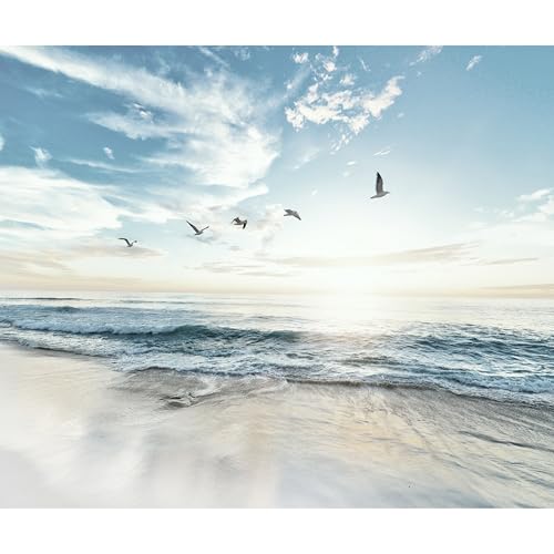 murando Fototapete Meer Strand 400x280 cm Vlies Tapeten Wandtapete XXL Moderne Wanddeko Design Wand Dekoration Wohnzimmer Schlafzimmer Büro Himmel Vögel Landschaft Natur b-B-10023-a-a von murando