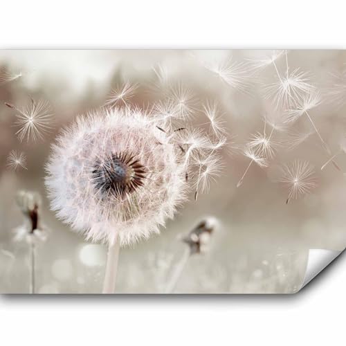 murando Fototapete Pusteblumen 400x280 cm Vlies Tapeten Wandtapete XXL Moderne Wanddeko Design Wand Dekoration Wohnzimmer Schlafzimmer Büro Blumen Natur Abstrakt b-C-0960-a-a von murando