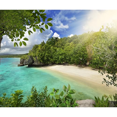 murando Fototapete Strand und Meer 100x70 cm Vlies Tapeten Wandtapete XXL Moderne Wanddeko Design Wand Dekoration Wohnzimmer Schlafzimmer Büro Flur Natur Landschaft c-A-0003-a-a von murando