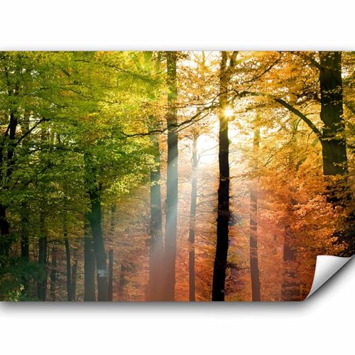 murando Fototapete Wald 250x175 cm Vlies Tapeten Wandtapete XXL Moderne Wanddeko Design Wand Dekoration Wohnzimmer Schlafzimmer Büro Flur Bäume grün orange Natur Landschaft c-B-0444-a-a von murando