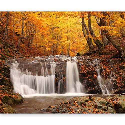 murando Fototapete Wasserfall 200x154 cm Vlies Tapeten Wandtapete XXL Moderne Wanddeko Design Wand Dekoration Wohnzimmer Schlafzimmer Büro Flur Natur Wald Bäume Landschaft Herbst von murando