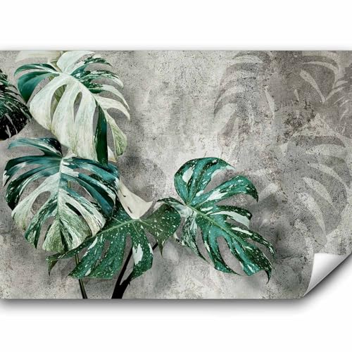 murando Fototapete selbstklebend Monstera Variegata 490x350 cm Tapete Wandtapete Klebefolie Dekorfolie Tapetenfolie Wand Dekoration Wandaufkleber Wohnzimmer Botanik Pflanzen von murando