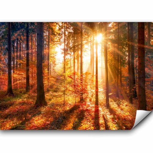 murando Fototapete selbstklebend Wald 3D 294x210 cm Tapete Wandtapete Klebefolie Dekorfolie Tapetenfolie Wand Dekoration Wandaufkleber Wohnzimmer Landschaft Natur Sonne Grün Bäume von murando