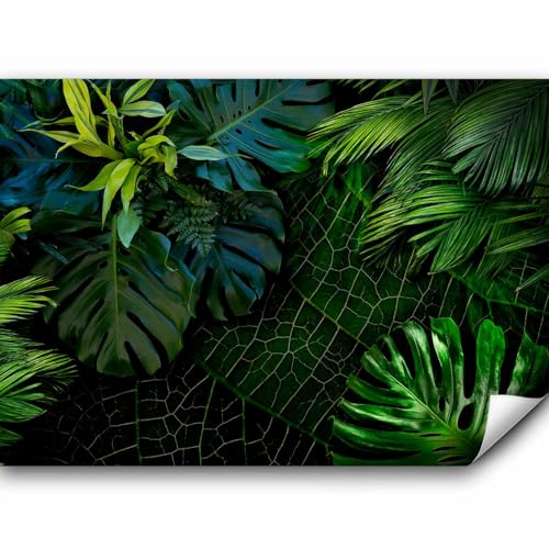 murando Fototapete tropische Blätter Monstera 350x256 cm Vlies Tapeten Wandtapete XXL Moderne Wanddeko Design Wand Dekoration Wohnzimmer Schlafzimmer Büro Flur Natur grün b-C-0224-a-a von murando