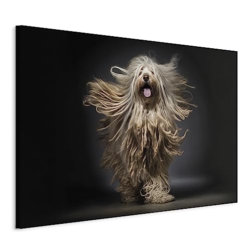 murando - Hund lustig Bilder 120x80 cm Leinwandbild 1 tlg Kunstdruck modern Wanbilder XXL Wanddekoration Design Wand Bild lachende Hündchen Dreadlocks g-H-10064-b-a von murando