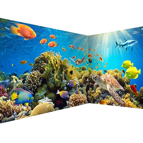 murando PREMIUM Vlies Eckfototapete Unterwasserwelt 550x250 cm Tapeten Wandtapete XXL Moderne Fototapete Wanddeko Design Wand Dekoration Wohnzimmer Schlafzimmer Büro Flur Ozean Fische Aquarium von murando