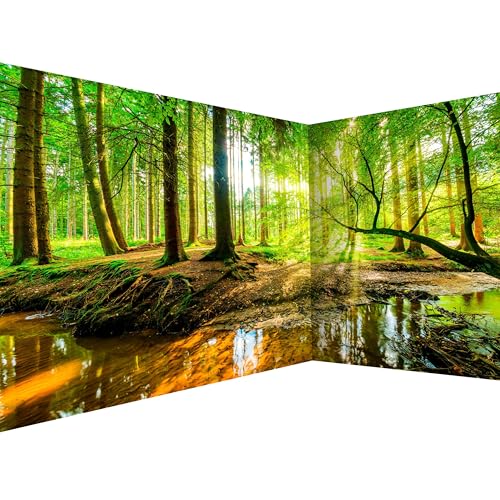 murando PREMIUM Vlies Eckfototapete Wald Landschaft 550x250 cm Tapeten Wandtapete XXL Moderne Fototapete Wanddeko Design Wand Dekoration Wohnzimmer Schlafzimmer Büro Flur Natur Baum grün Sonne von murando