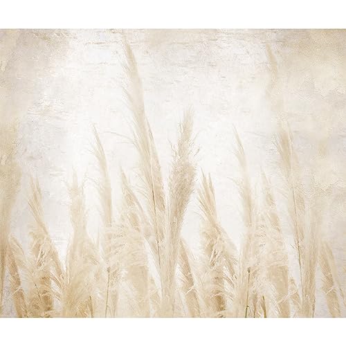 murando PREMIUM Fototapete Natur 350x256 cm Vlies Tapeten Wandtapete XXL Moderne Wanddeko Design Wand Dekoration Wohnzimmer Schlafzimmer Büro Gras Pflanzenmotiv beige b-A-10194-a-a von murando