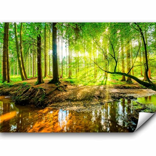 murando PREMIUM Fototapete Wald 450x315 cm Vlies Tapeten Wandtapete XXL Moderne Wanddeko Design Wand Dekoration Wohnzimmer Schlafzimmer Büro Flur Natur Baum grün Landschaft Sonne von murando