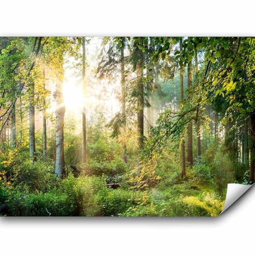 murando PREMIUM Fototapete Wald 450x315 cm Vlies Tapeten Wandtapete XXL Moderne Wanddeko Design Wand Dekoration Wohnzimmer Schlafzimmer Büro Flur t Natur Grün Bäume Sonnenuntergang von murando