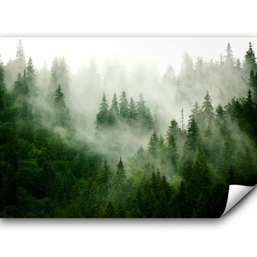 murando PREMIUM Fototapete Wald Nebel 450x315 cm Vlies Tapeten Wandtapete XXL Moderne Wanddeko Design Wand Dekoration Wohnzimmer Schlafzimmer Büro Flur Natur Landschaft skandinavisch von murando