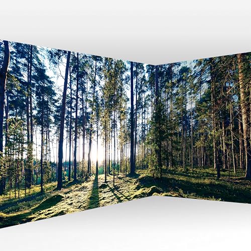 murando PREMIUM Vlies Eckfototapete Wald Landschaft 539x250 cm Tapeten Wandtapete XXL Moderne Fototapete Wanddeko Design Wand Dekoration Wohnzimmer Schlafzimmer Büro Flur Natur Landschaft von murando