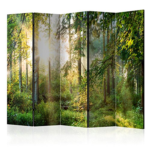 murando - Paravent Raumteiler Innen Wald 225x172 cm einseitig auf Vlies-Leinwand Bedruckt Trennwand Spanische Wand Sichtschutz Raumtrenner Home Office Natur c-C-0032-z-c von murando