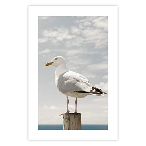 murando Poster Vogel Möwe Meer 40x60 cm Bilder Kunstdruck Plakat Wandbild Print Kunstposter Wandposter Wandbild Wohnung Wanddeko Design g-B-0119-ao-a von murando