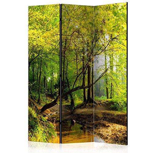 murando Raumteiler Foto Paravent Natur 135x172 cm beidseitig auf Vlies-Leinwand Bedruckt Trennwand Spanische Wand Sichtschutz Raumtrenner Home Office Wald c-B-0354-z-b von murando