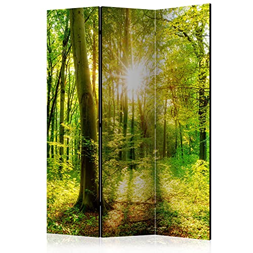 murando Raumteiler Foto Paravent Wald 135x172 cm beidseitig auf Vlies-Leinwand Bedruckt Trennwand Spanische Wand Sichtschutz Raumtrenner Design Bäume Natur Botanik Sonne b-B-0383-z-b von murando