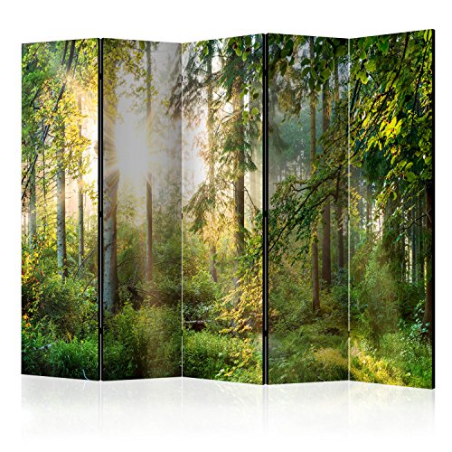 murando Raumteiler Foto Paravent Wald 225x172 cm einseitig auf Vlies-Leinwand Bedruckt Trennwand Spanische Wand Sichtschutz Raumtrenner Home Office Natur c-C-0032-z-c von murando