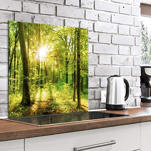 murando Spritzschutz Glas für Küche 80x80 cm Küchenrückwand Küchenspritzschutz Fliesenschutz Glasbild Dekoglas Küchenspiegel Glasrückwand Landschaft Wald Natur - c-B-0499-aq-a murando Spritzschutz Glas für Küche 80x80 cm Küchenrückwand Küchenspritzschutz Fliesenschutz Glasbild Dekoglas Küchenspiegel Glasrückwand Landschaft Wald Natur - c-B-0499-aq-a von murando