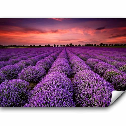 murando - Vlies Fototapete Landschaft 200x140 cm Vlies Tapeten Wandtapete XXL Moderne Wanddeko Design Wand Dekoration Wohnzmmer Schlafzimmer Büro Natur Lavendel Lavendelfeld Provence b-B-0624-a-a von murando