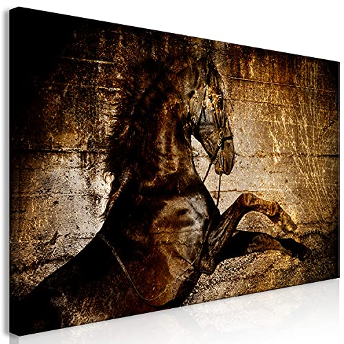 murando Wandbild Mega XXXL PferdEinteiliger XXL-Format Kunstdruck zur Selbstmontage Leinwandbilder moderne Bilder DIY Wanddekoration Wohnung Deko Tiere Hengst g-C-0369-ak-e von murando