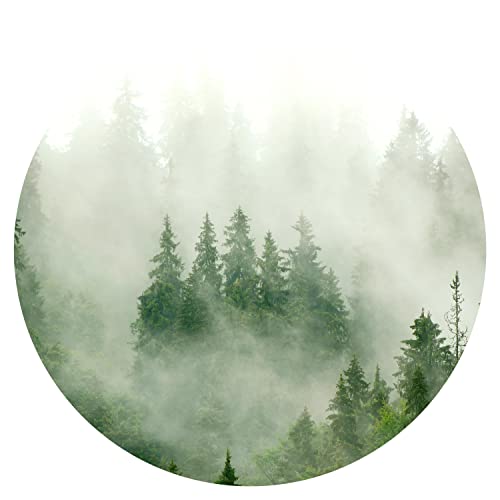 murando runde Fototapete selbstklebend Wald im Nebel 140x140 cm Tapeten Wandtapete XXL Moderne Wanddeko Design Wand Dekoration Wohnzimmer Schlafzimmer Büro Flur Natur Landschaft Bäume von murando