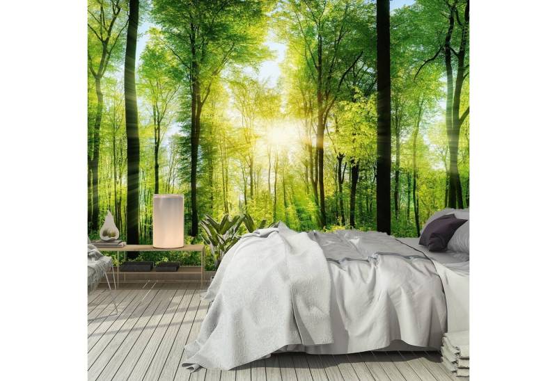 murimage® Fototapete Fototapete Wald 3D 366 x 254 cm Bäume Wohnzimmer Küche Schlafzimmer Tapete inklusive Kleister von murimage®