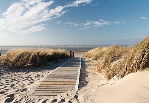 Fototapete Meer 366cm x 254cm inklusive Kleister Meer Strand Sonne Dünen Steg Ocean Way Weg Ostsee Nordsee Tapete von murimage