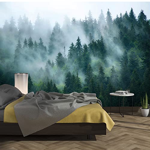 murimage Fototapete Nebel Wald 366 x 254 cm inklusive Kleister Tapete Morgengrauen Holz Aussicht Bäume Wohnzimmer Küche Schlafzimmer von murimage
