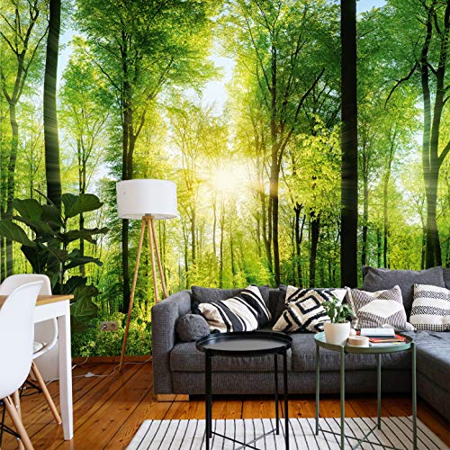 murimage Fototapete Wald 3D 366 x 254 cm inklusive Kleister Tapete Bäume Wohnzimmer Küche Schlafzimmer von murimage