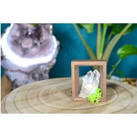 Bergkristall Bilderrahmen Moos Holz Feengarten Holzdeko Edelstein Quartz Bergkristalldruse Cluster Bergkristall Bilderrahmen Moos Holz Feengarten Holzdeko Edelstein Quartz Bergkristalldruse Cluster von murmelnimkopf
