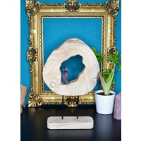 Holzskulptur Regenbogenfluorit Deko Holzdeko Holz Dekoration von murmelnimkopf
