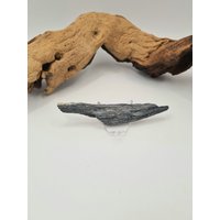 Versteinertes Holz Mit Quarz von murmelnimkopf
