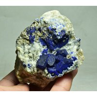 451 Gramm Tiefblaue Lazurit Kristalle Mit Forsterit Kristallen & Pyrit Auf Matrix von mussaminerals