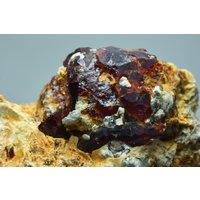 47 Gramm Seltene Chondrodit Kristall Exemplar von mussaminerals