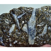 Einzigartige Fluoreszierende Lange Saphir-Kristall Auf Mica Matrix 809 Gramm von mussaminerals