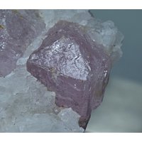 Ultra Seltene Natürliche Rosa Farbe Fluoreszierende Scapolit Kristalle Auf Matrix 157 Gramm von mussaminerals