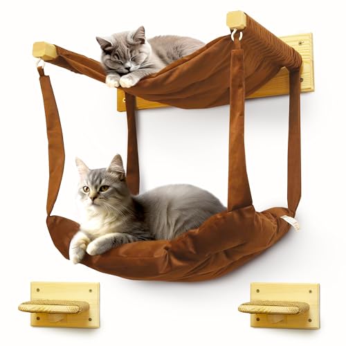 myHANA Kletterwand Katzen Set Kiefernholz | Hängematte Katze Wand 3 Farbvarianten| 2X Katzentreppe Wand | Katzen Wandelemente Set| Katzenmöbel | Katzewandliege| Katzenbett | Wandkratzbaum | Katzen von my HANA