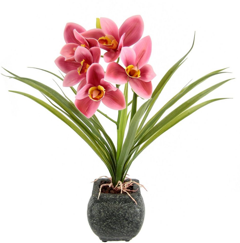 Kunstblume Orchidee, my home, Höhe 40 cm, Mit Blätter im Topf aus Zement Künstliche Blume Cymbidium-Orchidee von my home