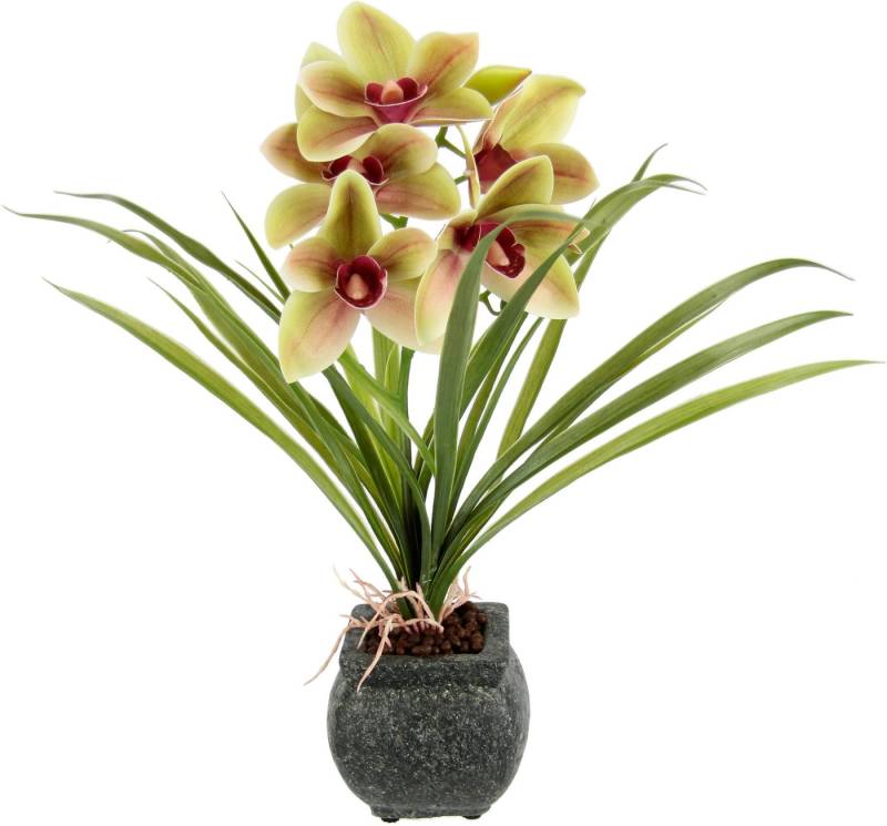 Kunstblume Orchidee, my home, Höhe 40 cm, Mit Blätter im Topf aus Zement Künstliche Blume Cymbidium-Orchidee von my home