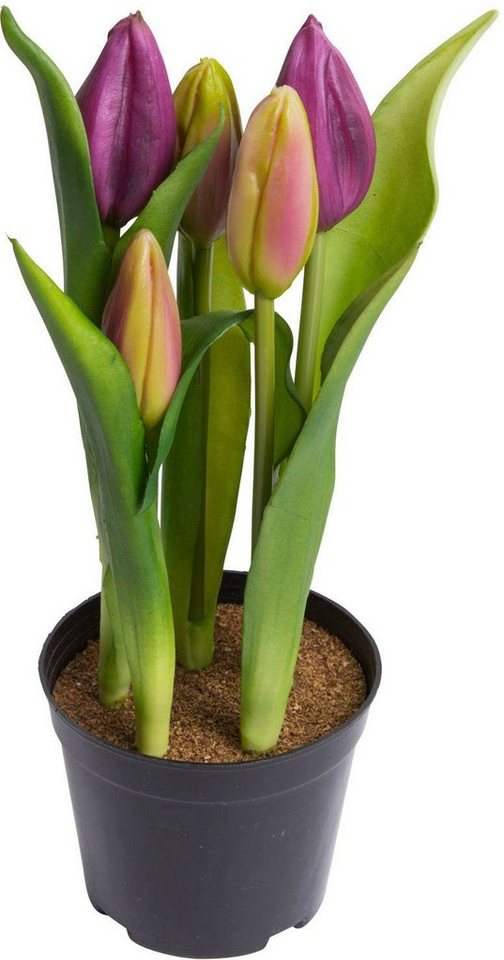 Kunstblume Tulpenpflanze mit 5 Knospen, my home, Höhe 23 cm von my home