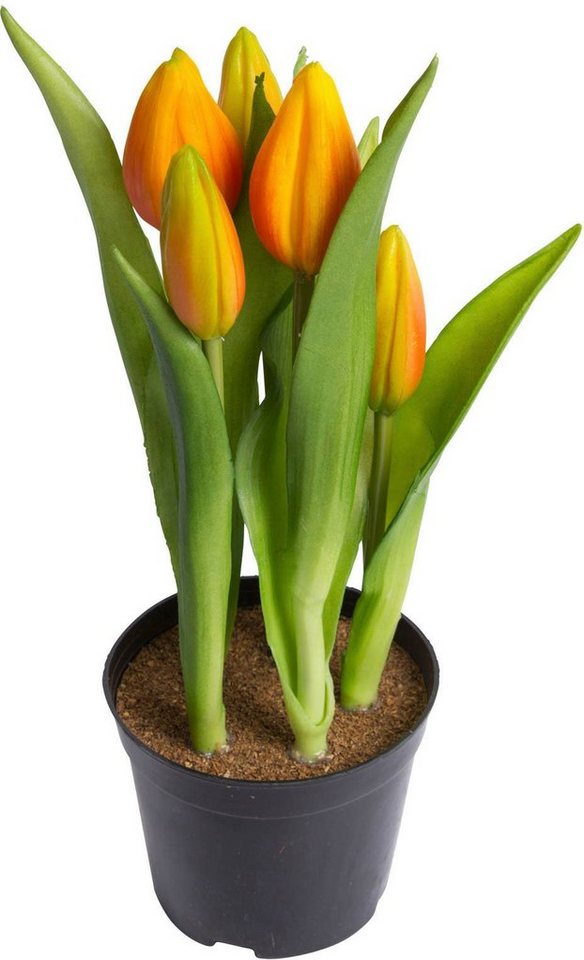 Kunstblume Tulpenpflanze mit 5 Knospen, my home, Höhe 23 cm von my home