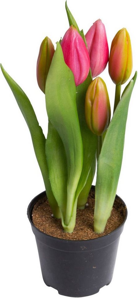 Kunstblume Tulpenpflanze mit 5 Knospen, my home, Höhe 23 cm von my home