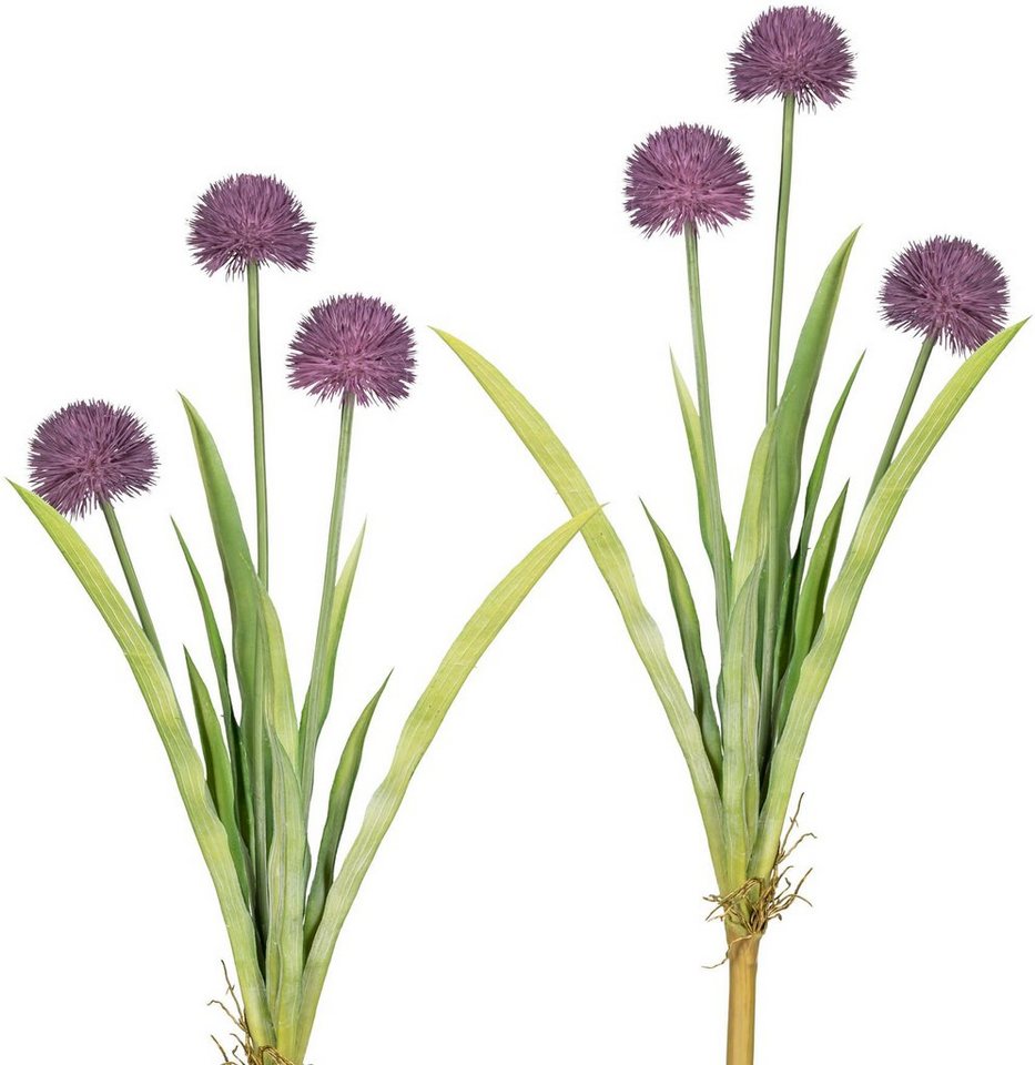 Kunstblume Vivian Allium, my home, Höhe 60 cm, 2er Set Kunstblume Vivian Allium, my home, Höhe 60 cm, 2er Set von my home
