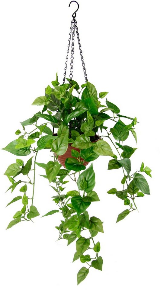 Kunstpflanze Efeutute, my home, Höhe 96 cm, Im Topf, mit Hängeampel, künstliche Hängepflanze von my home