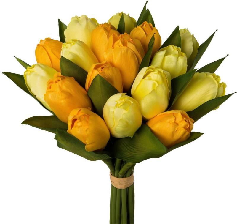 Kunsttulpe Tulpenbund Tulpe, my home, Höhe 28 cm von my home