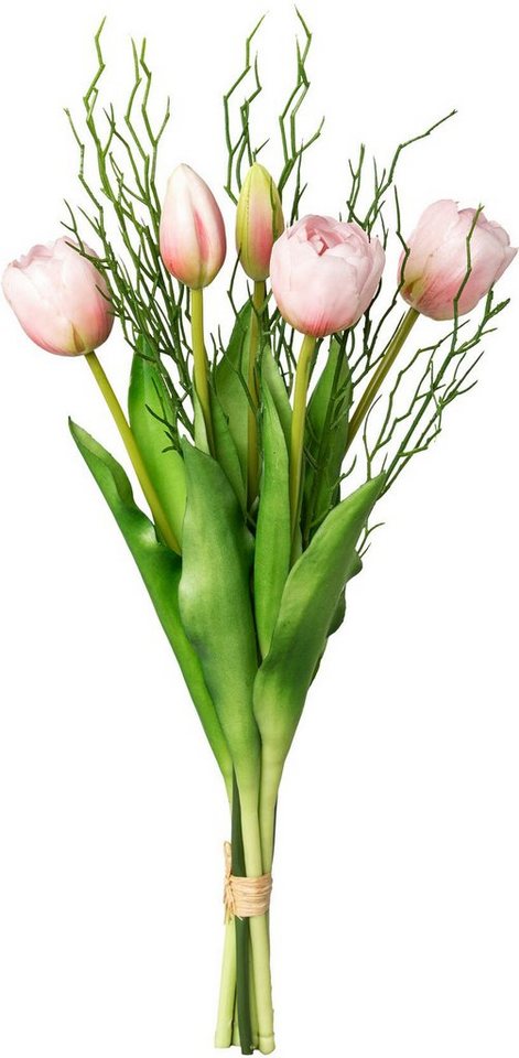 Kunsttulpe Tulpenbund Tulpe, my home, Höhe 43 cm von my home