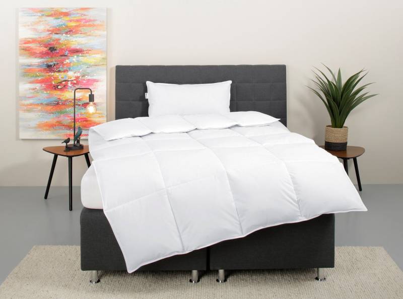 my home Daunenbettdecke + Kopfkissen Cyra Set, Bettdecke 135x200 & 155x220 cm mit Kissen 80x80 cm, Set, wo besonders auf artgerechte Haltung der Tiere geachtet wird my home Daunenbettdecke + Kopfkissen Cyra Set, Bettdecke 135x200 & 155x220 cm mit Kissen 80x80 cm, Set, wo besonders auf artgerechte Haltung der Tiere geachtet wird von my home