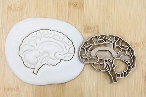 Organ Gehirn Cookie Cutter Fondant Keksstempel/Ausstechform Keksausstecher Plätzchen ca. 8cm von my3dbase