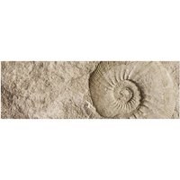 mySPOTTI Badrückwand »Fossil«, BxH:140 cm x 45 cm, beige von mySPOTTI